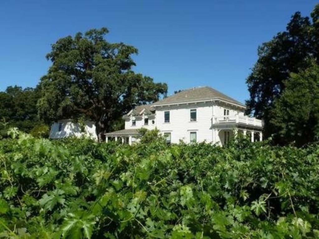 Inn At Salvestrin St. Helena Kültér fotó